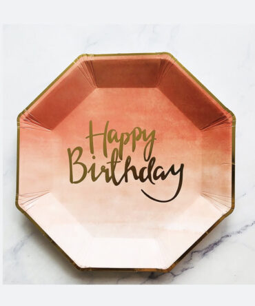 elegant plates birthday party boys girls