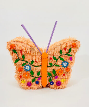 butterfly flowers piƱata baby shower happy birthday party boys girls