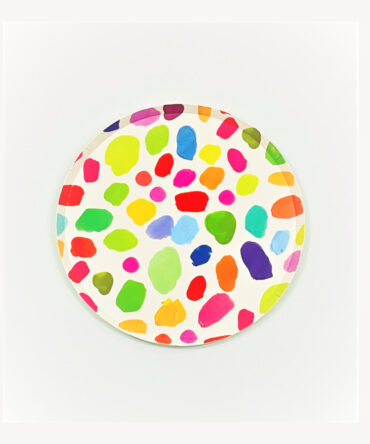rainbow colorful dots plates birthday party boys girls