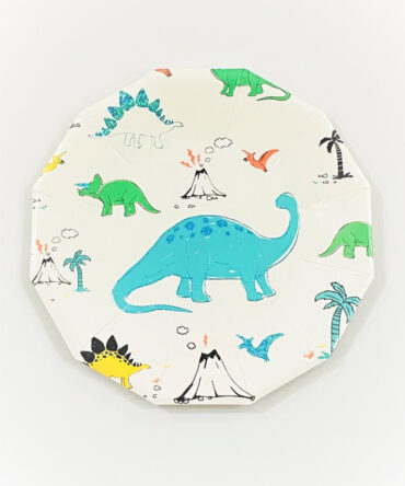 dinosaur plates birthday party girls boys