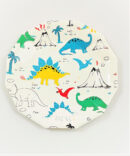 dinosaur plates birthday party girls boys