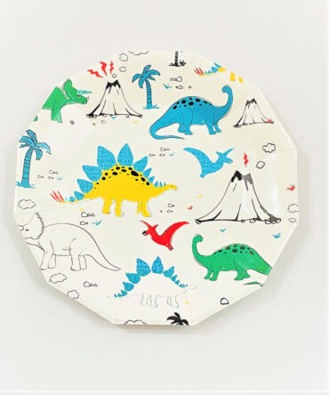 dinosaur plates birthday party girls boys