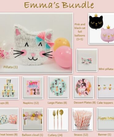 Cat birthday party girls