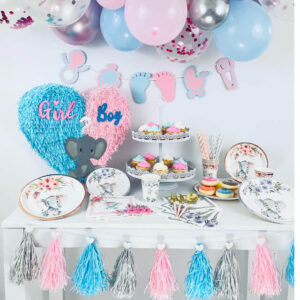 Gender reveal party pinata piñata plates napkins tableware one year baby shower